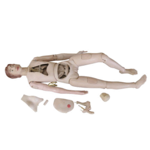 Nursing Training Doll