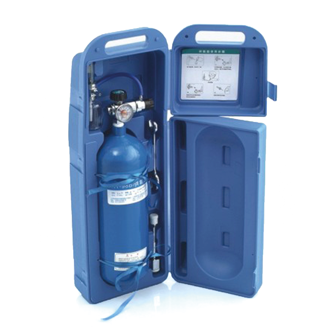 Portable oxygen cylinder