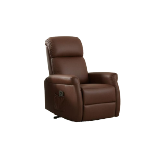 Electric Reclining Chair
