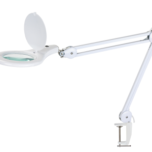 Magnifier with Light